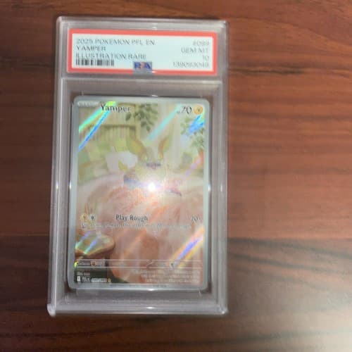 2025 Pokemon PFL EN Yamper Illustration Rare