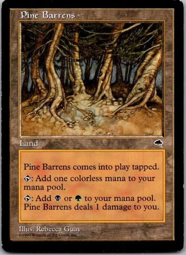 Pine Barrens R TMP #321 LP MTG Magic