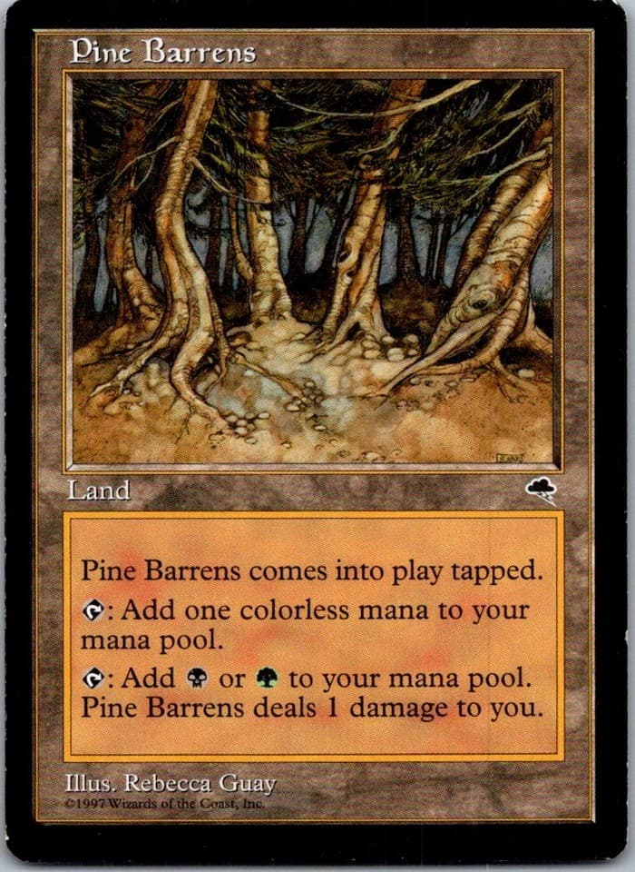 Pine Barrens R TMP #321 LP MTG Magic