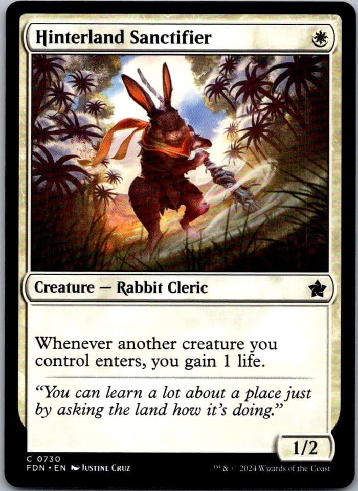 Hinterland Sanctifier C FDN #730 NM MTG Magic